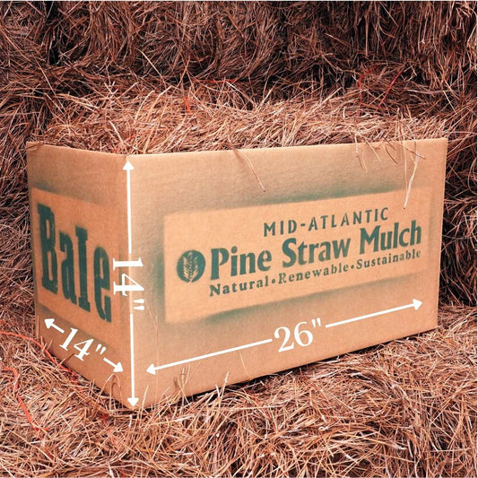 Bale of Pine Straw Mulch Delivery Box Dimensions