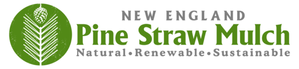 New England Pine Straw Mulch