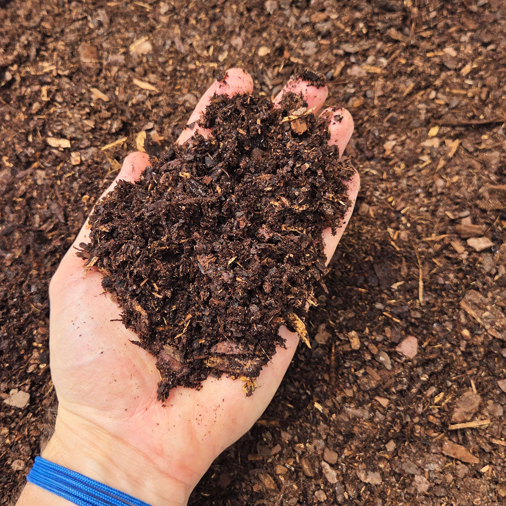 A hand holding a clump of dark, rich pine fines soil amendment, with garden soil in the background.