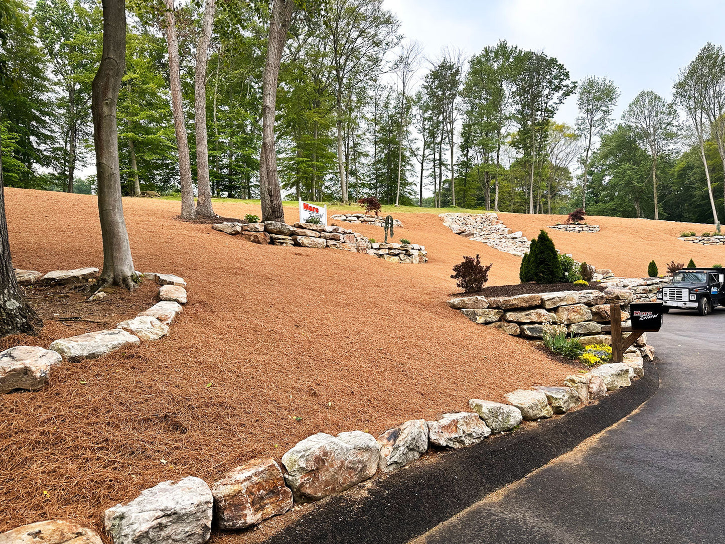 Pine Straw Mulch Ground Cover on Landscape