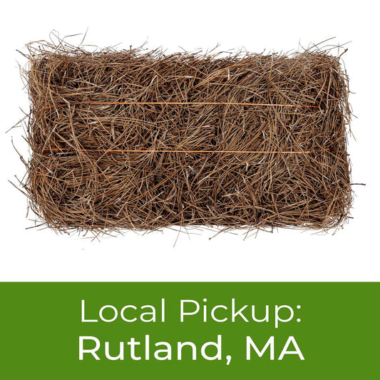 Longleaf Pine Straw Mulch Bale New England