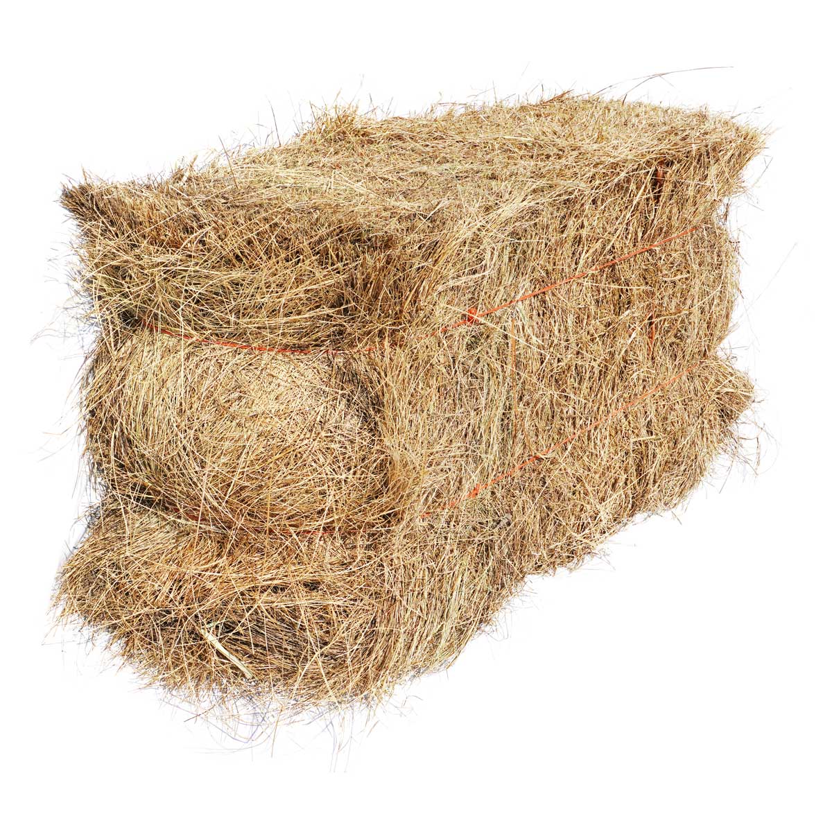 Salt Hay Mulch Bale for Vegetable Gardens and Overseeding Lawn
