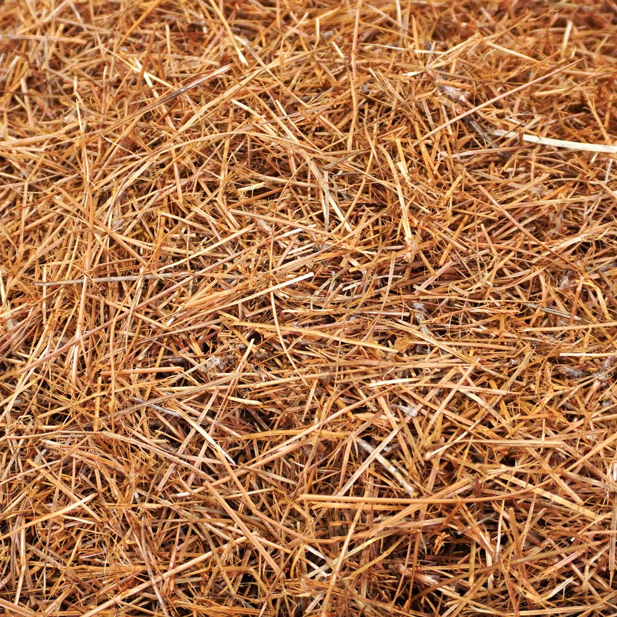 Shredded Pinestraw Mulch Bag