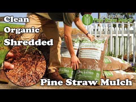 Shredded Pine Straw Mulch: Organic, Easy-Spread Mulch for Planters and Garden Beds